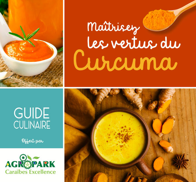 Le curcuma