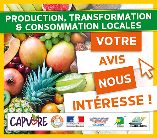 Cap Excellence co-construit le diagnostic alimentaire et agricole de son territoire