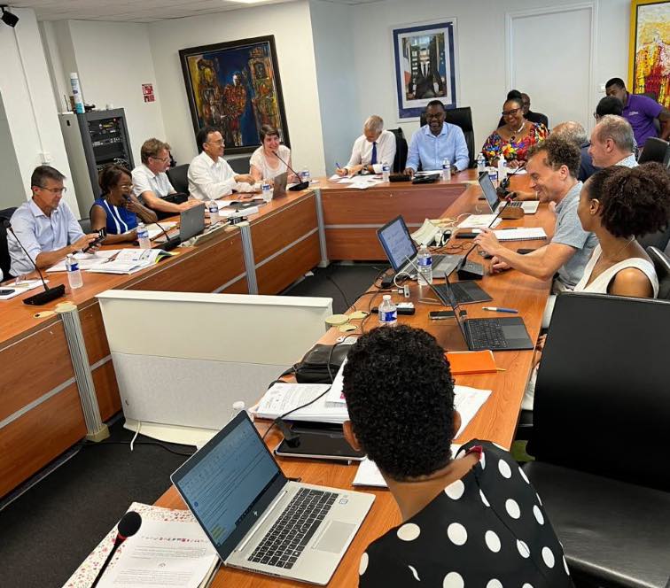 Comité de pilotage RUCAP présentation du PLACI, de la GUSP et du schéma directeur du projet