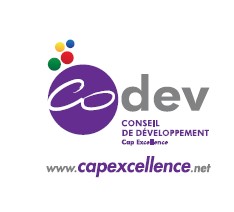 Qu’est-ce qu’un Conseil de développement ?